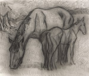 研究母马和小马驹，Lytchetts，Clayhidon，1917年（纸上的黑色蜡笔） 作者 罗伯特·波希尔·贝文
